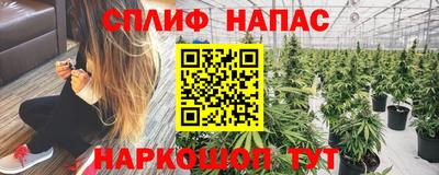 тгк Апшеронск