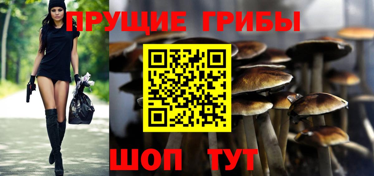Псилоцибиновые грибы мицелий  Вход с VPN  цены наркотик  Верхний Уфалей 